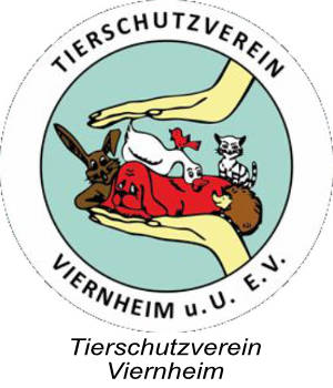 TH Viernheim logomitText