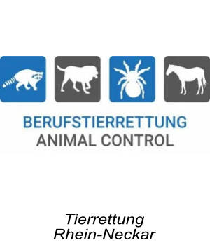 Tierrettung logomitText